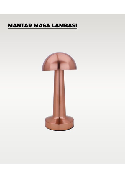 Rose Mantar Masa Lambası - Dokunmatik - 3 Renk Işık modelleri