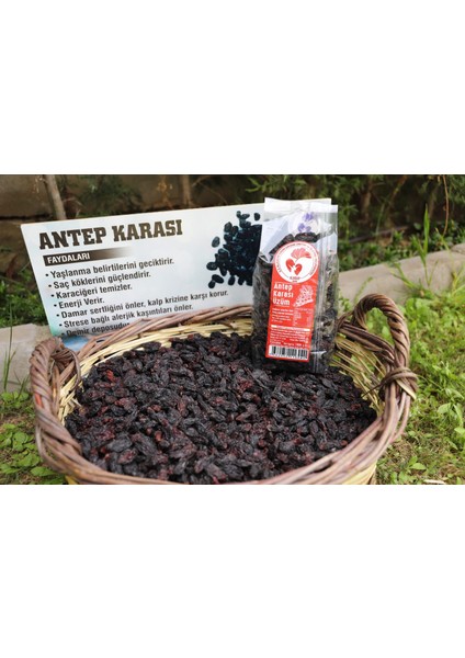 Antep Karası(Çekirdekli) Siyah Kuru Üzüm 250 gr Dört Adet