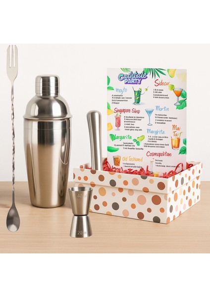 Kokteyl Shaker Jigger Mojito Tokmak Bar Kaşığı Kokteyl Tarifleri Seti Kutusunda