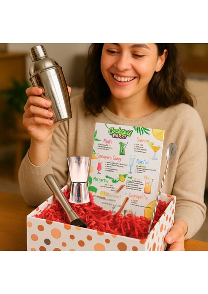 Kokteyl Shaker Jigger Mojito Tokmak Bar Kaşığı Kokteyl Tarifleri Seti Kutusunda fiyatları