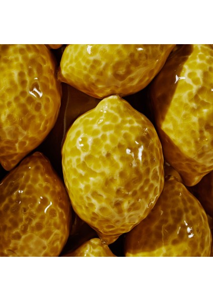 LEMON GROVE DEKORATİF KASE 37X37X14CM modelleri