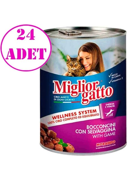Miglior Gatto Kedi Konservesi Av Hayvanlı 405 gr 24 Adet