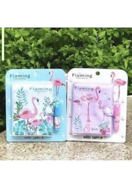 Defter Seti Kutu 16 Adet fiyatları