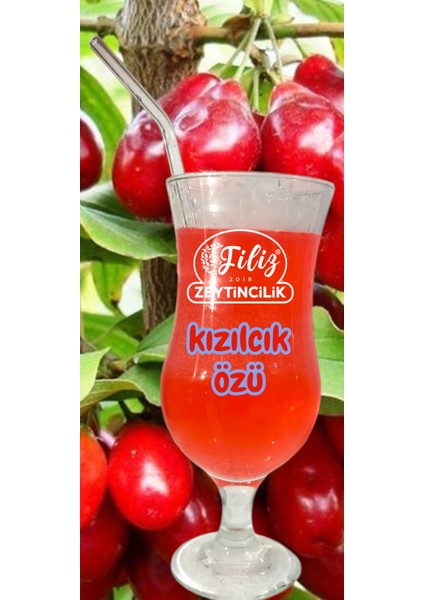 Kızılcık Özü 700 ml fiyatları