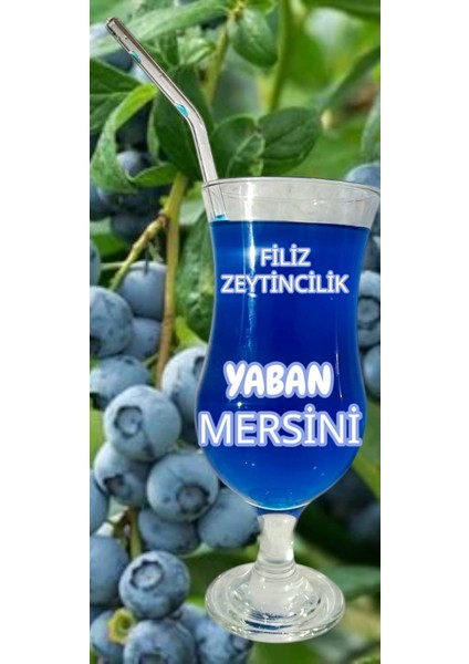 Yaban Mersini Özü 700 ml fiyatları