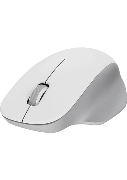 Wireless Mouse Comfort Edition fiyatları