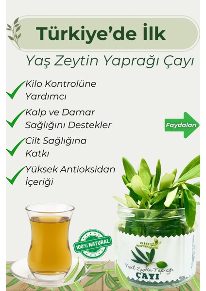 Yaş Zeytin Yaprağı Çayı | Köyceğiz'den %100 Doğal Detox Bitki Çayı • Güçlü Antioksidan