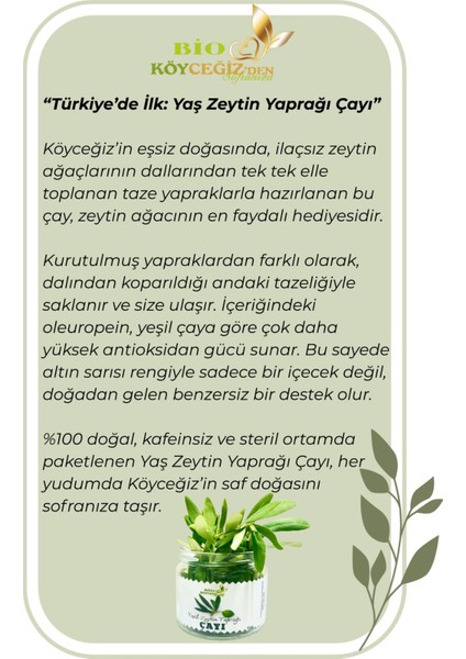 Yaş Zeytin Yaprağı Çayı | Köyceğiz'den %100 Doğal Detox Bitki Çayı • Güçlü Antioksidan fiyatları