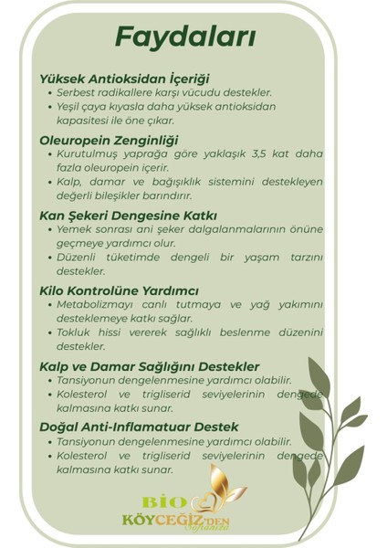 Yaş Zeytin Yaprağı Çayı | Köyceğiz'den %100 Doğal Detox Bitki Çayı • Güçlü Antioksidan modelleri