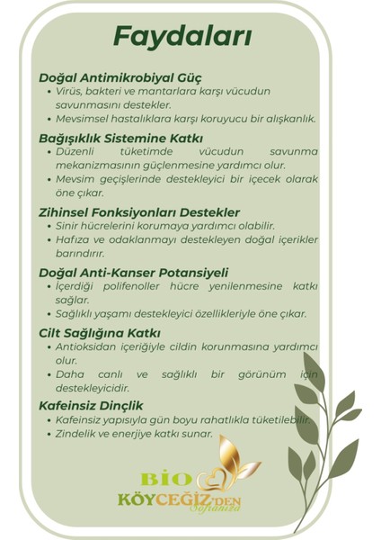 Yaş Zeytin Yaprağı Çayı | Köyceğiz'den %100 Doğal Detox Bitki Çayı • Güçlü Antioksidan fırsatları