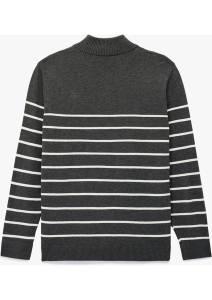 Regular Fit Uzun Kollu Basic Yarım Fermuarlı Triko Kazak fiyatları