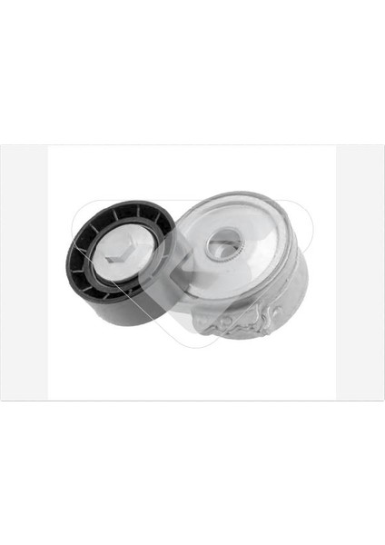 Alternatör Gergi Rulmanı Kütüklü PARTNER-P206-306-307-BOXER-BERLINGO-JUMPY-JUMPER 1.9d-2.0d
