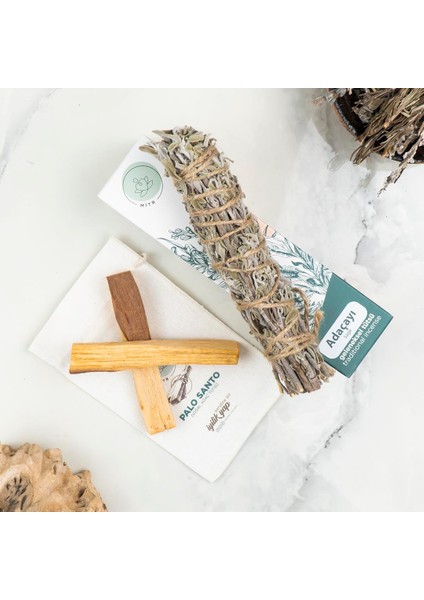 Virabhadra Tütsü Seti modelleri