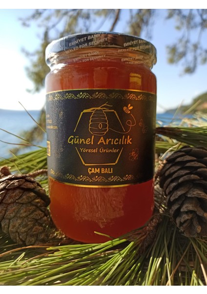 Çam Balı 850 gr