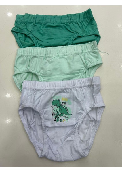 Erkek Çocuk Renkli Baskılı Pamuklu Slip 3'lü Paket Asorti 3050