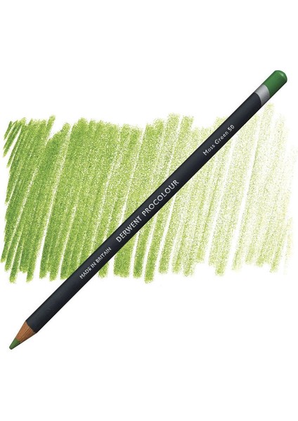 Procolour Kuru Boya Kalemi 50 Moss Green