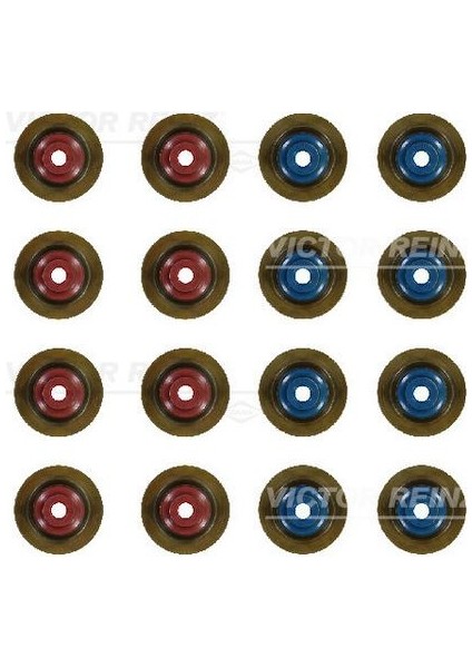 Subap Lastiği Seti 8 8 16 Adet Astra J-K-Insıgnıa A-B-Zafıra C 1.6 Sıdı A16XHT-B16SHL-D16SHL-SHJ