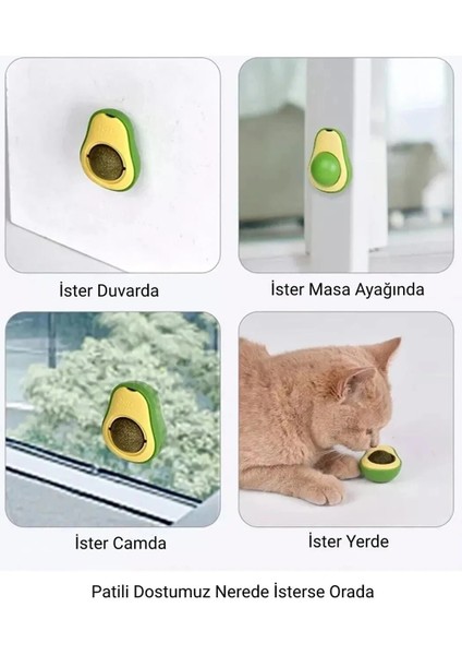Avakado Kedi Nanesi Cat Mint Oyun Topu fiyatları