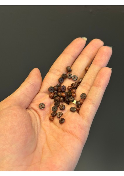 15 gr Bambu Delikli Kahverengi Takı Boncuğu Set 5 mm fiyatları