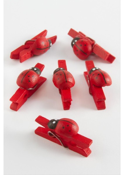 Ds-Derin 1 Adet Uğur Böceği Süs Mandal-Kırmızı