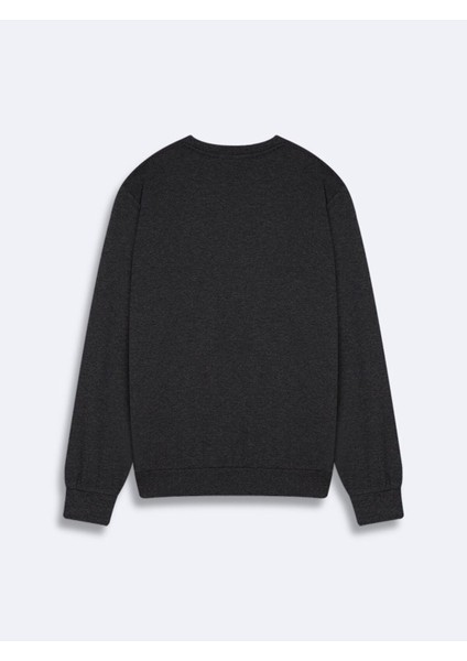 Lodıta New Sweatshırt fiyatları