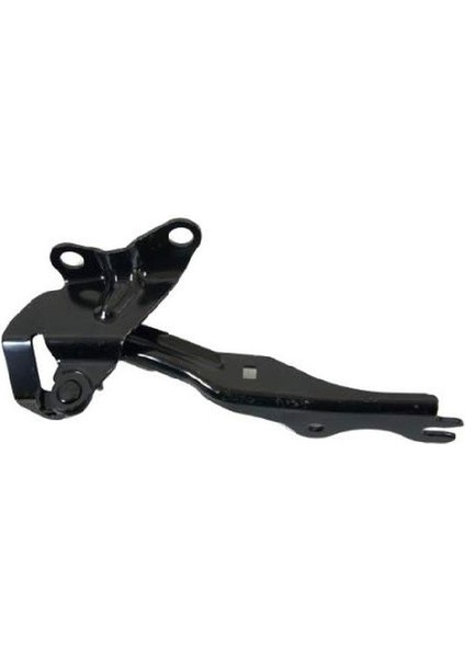 Motor Kaput Menteşesi Sağ 3 2003-