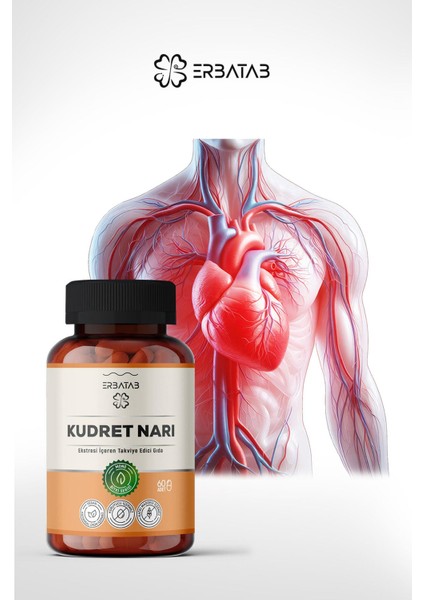 Kudret Narı Ekstresi 60 Kapsül fiyatları