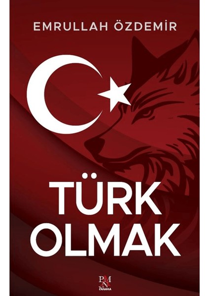 Türk Olmak