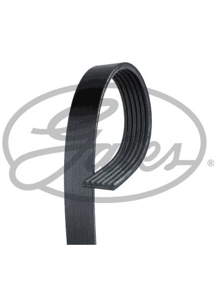 Kanallı Kayıs Bmw F45 F46 F48 F39 Mını F55 F56 F57 F60 Vw Transporter T4 Ford Focus I Transıt Connect Opel Astra J Cıtroen Berlıngo Mıtsubıshı Outlander Lancer Chevrolet Cruze