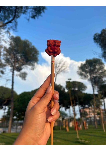 Lovely Bears El Yapımı Lahverengi Ayıcıklı Özel Tasarım Topuz Toka modelleri