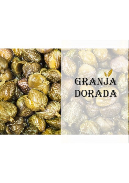 Mini Kapari 105CC fiyatları