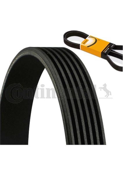51 Contıtech 6PK698 - Alternatör Kayışı 6 Kanal Vega 16V Injeksiyon Samara Bravo Brava Marea Ducato 306 405