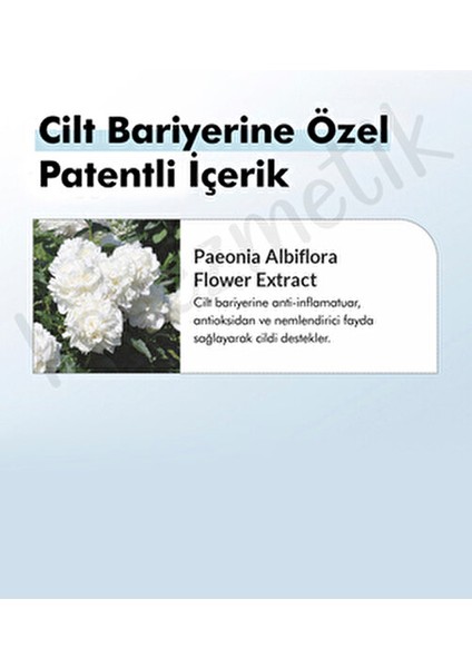 147 Barrier Cream Cilt Bariyerini Güçlendiren 50 Ml NeMlendirici Krem