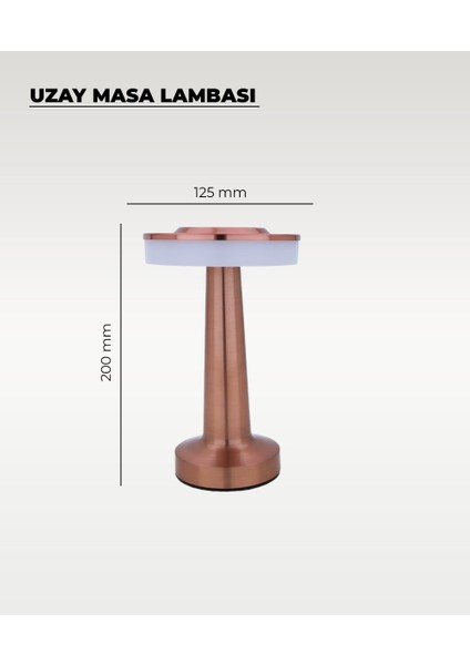 Rose Uzay Masa Lambası - Dokunmatik - 3 Renk Işık fiyatları