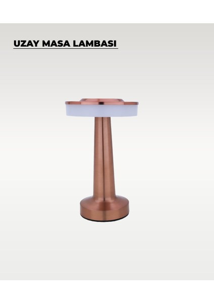 Rose Uzay Masa Lambası - Dokunmatik - 3 Renk Işık modelleri