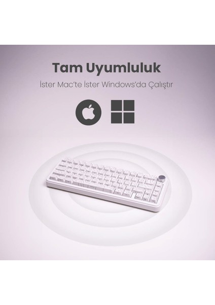 Beast R65 He Pro Manyetik Switch Klavye 8k Hz