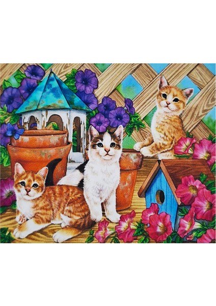 5d Elmas Taş Işleme Kiti 40X50 cm Kediler Desen fiyatları