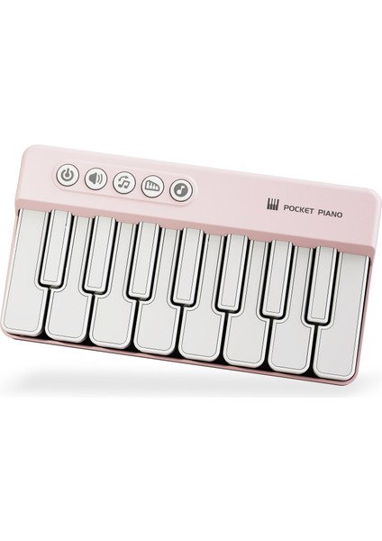 Erken Çocukluk Eğitimi Çok Fonksiyonlu Müzik Oyuncakları (Yurt Dışından)