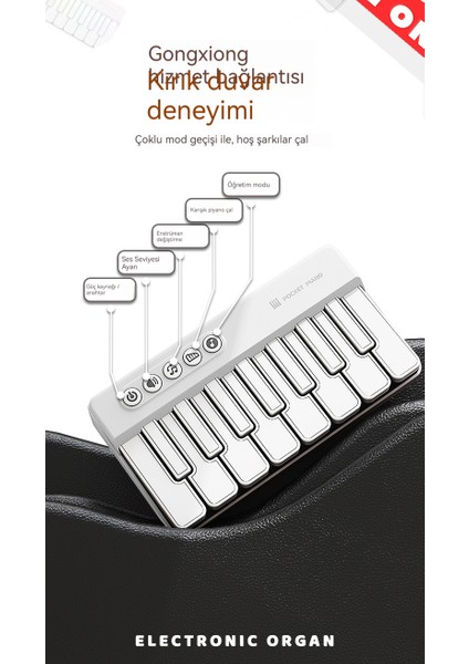 Erken Çocukluk Eğitimi Çok Fonksiyonlu Müzik Oyuncakları (Yurt Dışından) modelleri