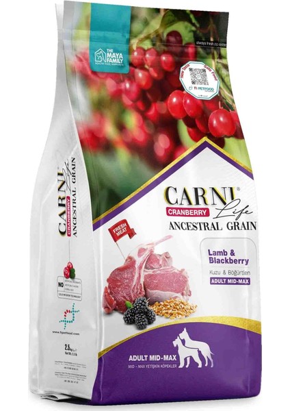 Life Cranberry Ancestral Grain Yetişkin Köpek Medium Maxi Kuzu & Böğürtlen 12+3 Kg fiyatları