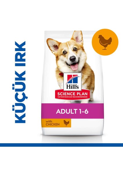 Adult Small & Mini Tavuklu Yetişkin Köpek Maması 3 Kg fiyatları