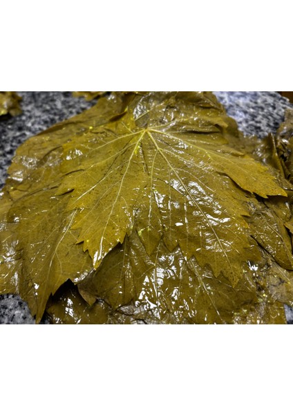 Salamura Yaprak 1 Kg, Alaşehir Coğrafi İşaretli Asma Yaprağı fiyatları