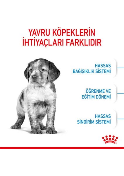 Medium Puppy Orta Irk Yavru Köpek Maması 15 kg