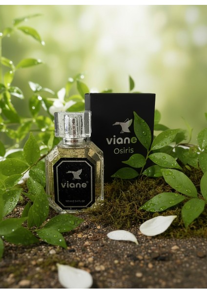 Osiris Eau De Erkek Parfüm – Çekim Gücünün ve Tutkunun Eros Esintisi 100 ml modelleri