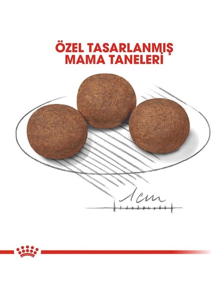 Puppy Medium Orta Irk Yavru Köpek Maması 4 Kg