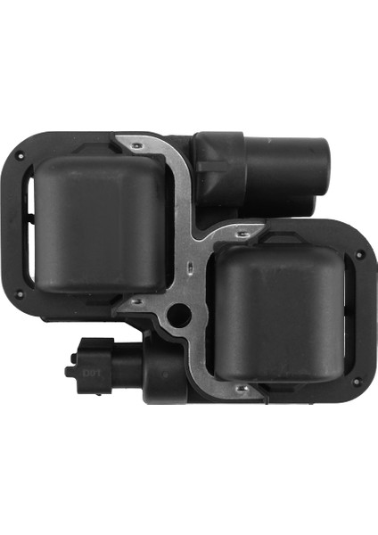 Harici Ateşleme Bobini 2876049 Polaris Ranger Için 4010425 Rzr 800 900 1000 Xp Efı 2005-2020 (Yurt Dışından)