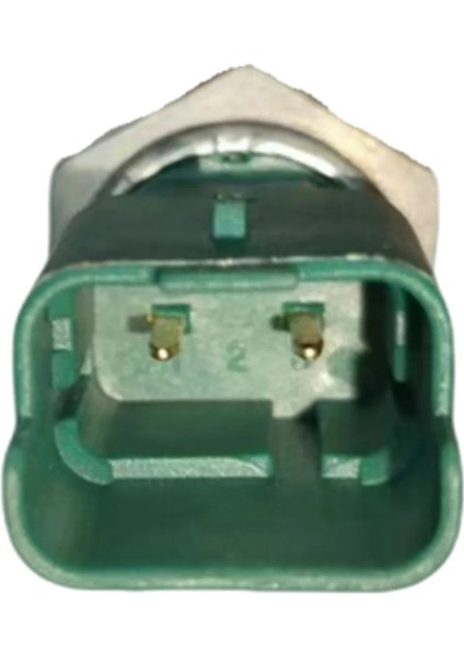 1131G2 9654613680 Peugeot 3008 308CC 308SW Rcz Citroen C4 Ds5 Ds6 Ds 1.6 2009-2019 Petrol Gauge (Yurt Dışından) indirimleri