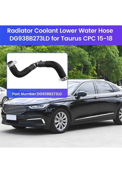 1 Pcs Radyatör Soğutucu Alt Su Hortumu Ford Taurus Cpc Için DG938B273LD 15-18 (Yurt Dışından) indirimleri