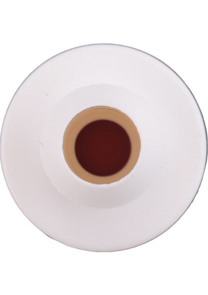 4 Pcs Çek Valfı 3/8 Inç 10 mm Abs Takım Valfı Çek Valfi Akaryakıt Yağı Su Gaz Havası Sıvılar Için Tek Yönlü Çek Valf (Yurt Dışından) fırsatları