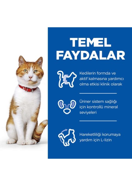 Tavuk Etli Kısırlaştırılmış Yetişkin Kedi Maması 15 Kg indirimleri